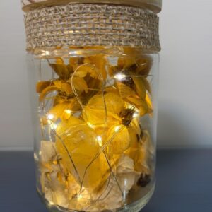 flores secas/desidratadas Luminária Flores e Citrino